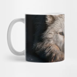 Arctic Video Mug